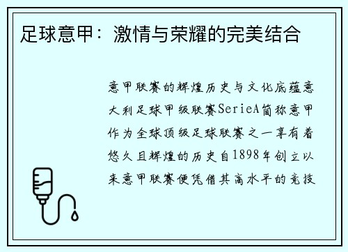足球意甲：激情与荣耀的完美结合
